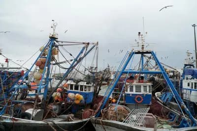 Barques bleues amarrées dans le port de pêche d’Essaouira