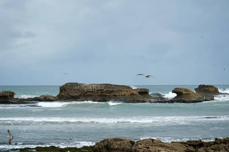 Promeneurs sur la plage d’Essaouira, vent et écume