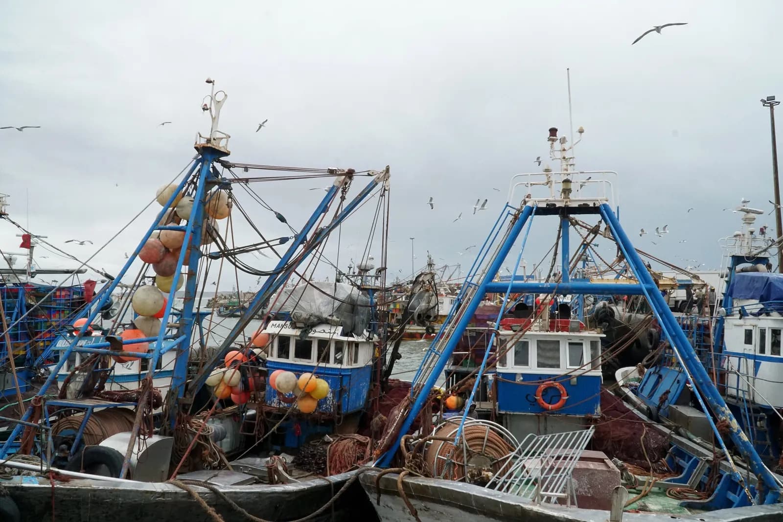 Barques bleues amarrées dans le port de pêche d’Essaouira