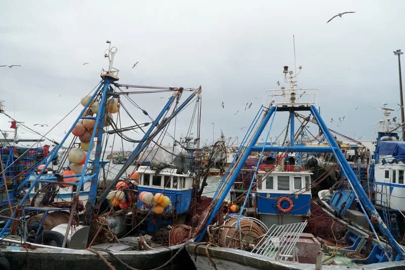 Barques bleues amarrées dans le port de pêche d’Essaouira